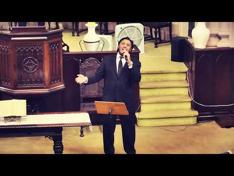 Rinaldo Viana -  Meu Tributo