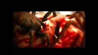 Necrophagia   And You Will Live In Terror