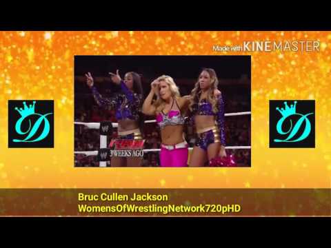 WWE Night Of Champions 2013 Natalya vs Brie Bella vs Naomi vs AJ Lee
