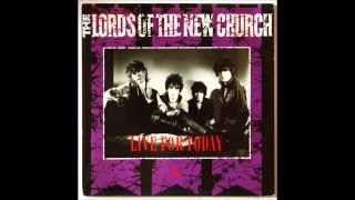 The Lords Of The New Church - Johnny Too Bad