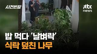 밥 먹다 '날벼락'…식탁 덮친 나무 #글로벌픽 / JTBC 사건반장