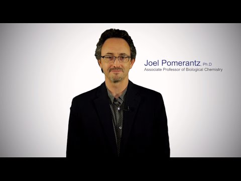 Understanding the Immune System— Dr. Joel Pomerantz - YouTube