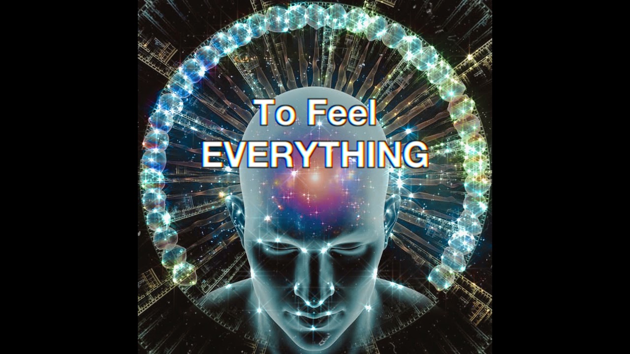 To Feel EVERYTHING | EPISODE: 53 | Planet Jav