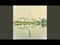 A Journey Through The Pantanal (Edit)