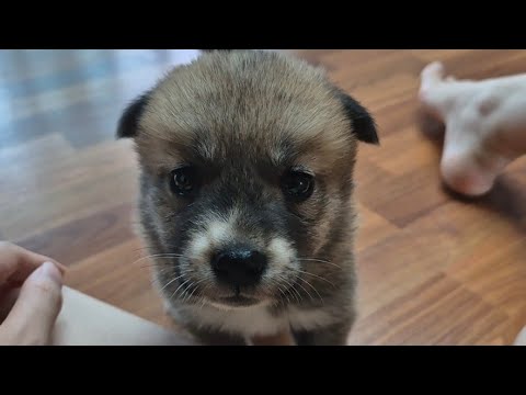 YouTube 썸네일