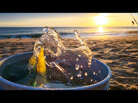 115 Pounds of Pompano Caught - COMMERCIAL SURF FISHING