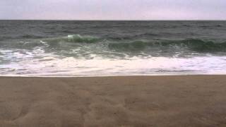 preview picture of video 'August 2011, Flying Point Beach, Water Mill, NY'