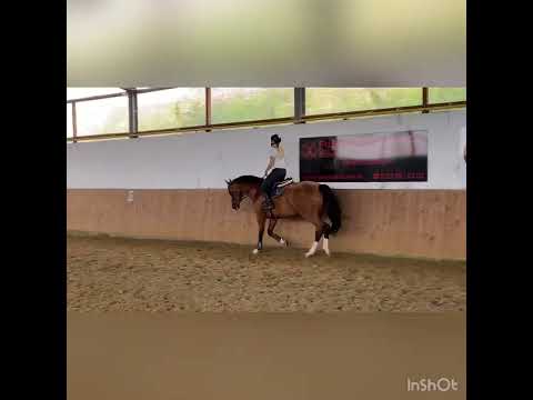 Cascadello x Coronado