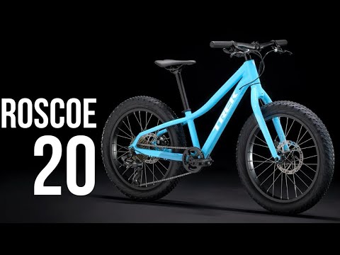 The Ultimate Kids Mountain Bike: Trek Roscoe 20