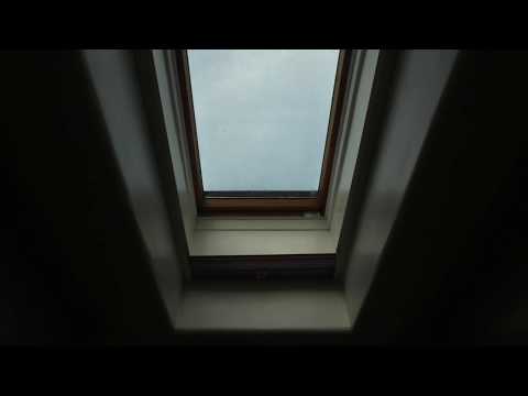 Carved Into the Sun - Skylight (Pinegrove Cover)