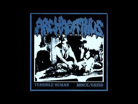 Embalming Theatre / Archagathus - The Roomrate Includes a Rotten Roommate / Terrible Human split 7''