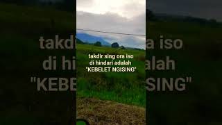 Download lagu jowo pride story wa #jawatimur #jowo #story #storylucu #ngising #baperstory mp3 Download lagu jowo pride story wa #jawatimur #jowo #story #storylucu #ngising #baperstory mp3