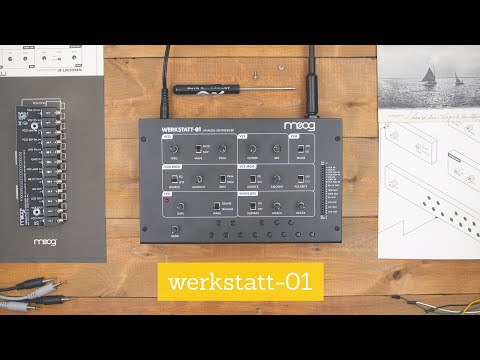 Демонстрация аналогового синтезатора Moog Werkstatt 01