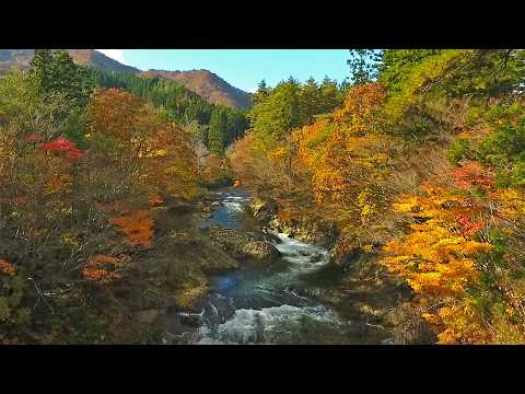 動画で巡る、むつ市の魅力。【川内川渓谷 -むつ市川内地区-】