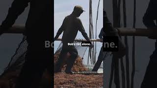 Download lagu ¡La divertidísima realidad tras los encuentros con sirenas! 🧜♀️ | Mitos vs. Realidad mp3 Download lagu ¡La divertidísima realidad tras los encuentros con sirenas! 🧜♀️ | Mitos vs. Realidad mp3