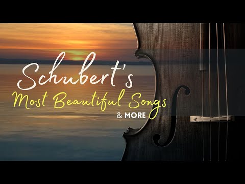 Schuberts schönste Lieder & mehr | Cello und Klavier