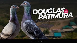 Download lagu FINAL SERU !! LOMBA MERPATI TOTAL HADIAH 150 JUTA LAPAK SOUL CITY SERANG BANTEN mp3