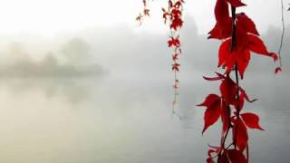 Esbjorn Svensson Trio - Serenity