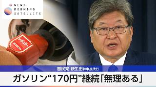 ガソリン“170円”継続「無理ある」 自民党 萩生田幹事長代行【モーサテ】