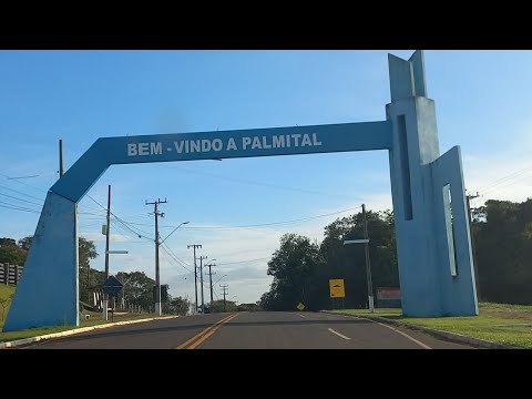 PALMITAL PR 