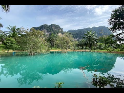 9 Rai Land Plot with Stunning Mountain Views for Sale in Nong Thaley, Krabi