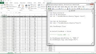 VBA Tutorial 11:  Auto filter in Excel VBA