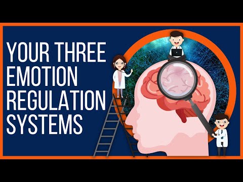 The Three Emotion Regulation Systems