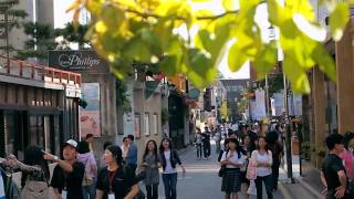 preview picture of video 'DAEHAKRO, JONGNO, SEOUL'