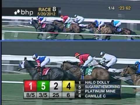 The 17th Running of the Fran's Valentine Stakes - $70,000 Added