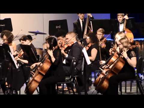 NHS Orchestra: Vanishing Pointe (Richard Meyer)