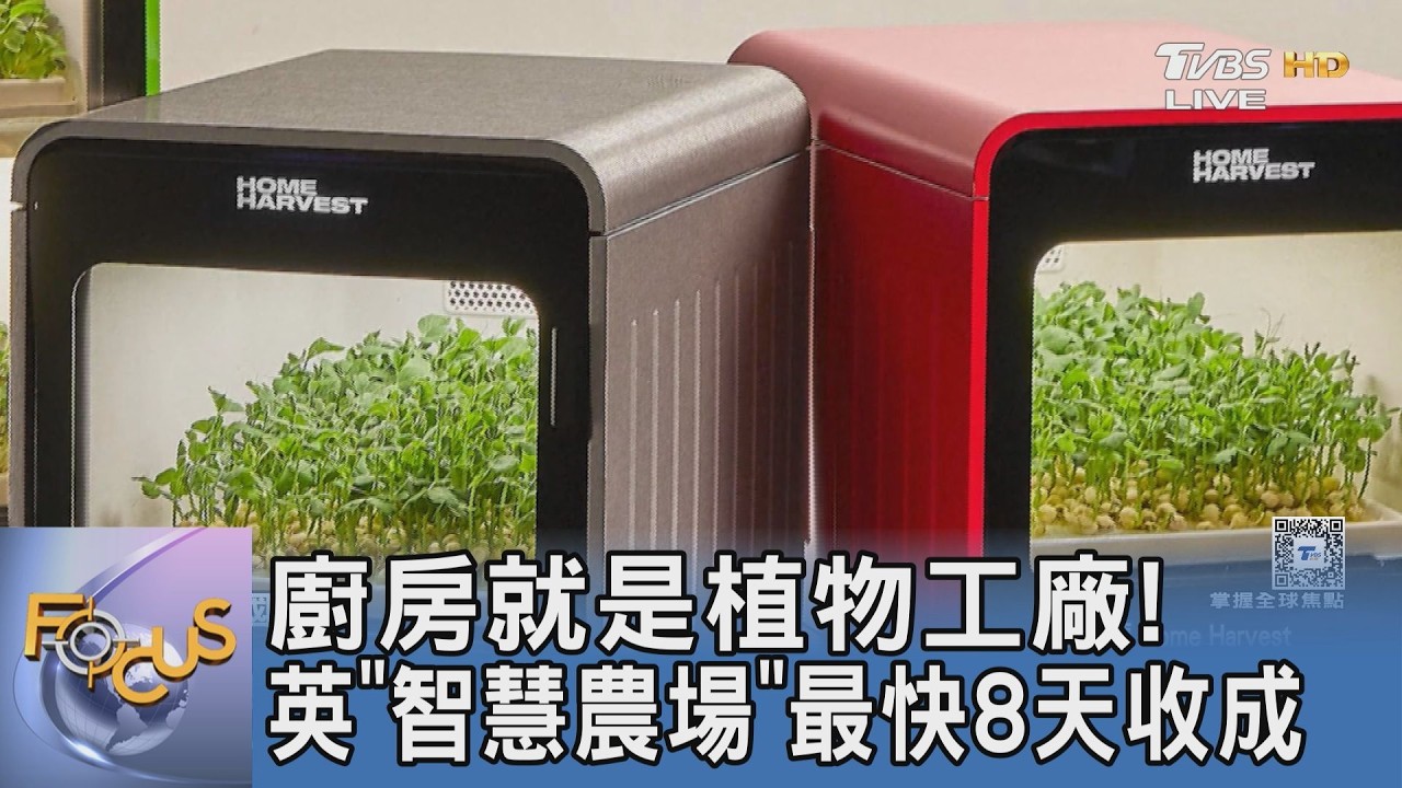 廚房就是植物工廠!英「智慧農場」最快8天收成