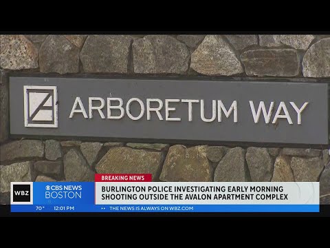 Nearly 2 dozen shots fired outside Avalon apartment complex in Burlington