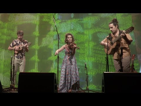 Fios de Choro | Trama (Fios de Choro) | Instrumental Sesc Brasil