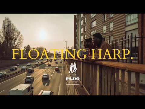 PLDG - Floating Harp (Visualizer #4) by Mystraw