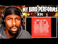 UNIQUE SONG!! | My Bird Performs - XTC (Reaction) - JMBOY TV UNIQUE SONG!! | My Bird Performs - XTC (Reaction)