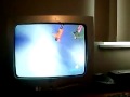 Kids Fly V