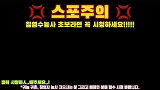 *스포주의* 침엽수 농사 초보라면 꼭 시청하세요!!!!!! | [대림묘목농원_침엽수 농사 노하우]