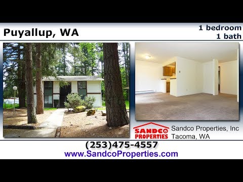 Fox Run 12327: Neu-Bamberg - Video 2 of 2