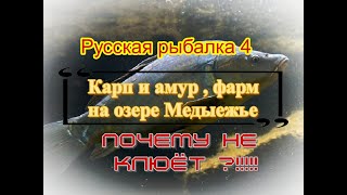 Зимняя рыбалка на медвежьем озере