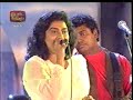 Sunflower 2002 Champa Kapuge Shanika