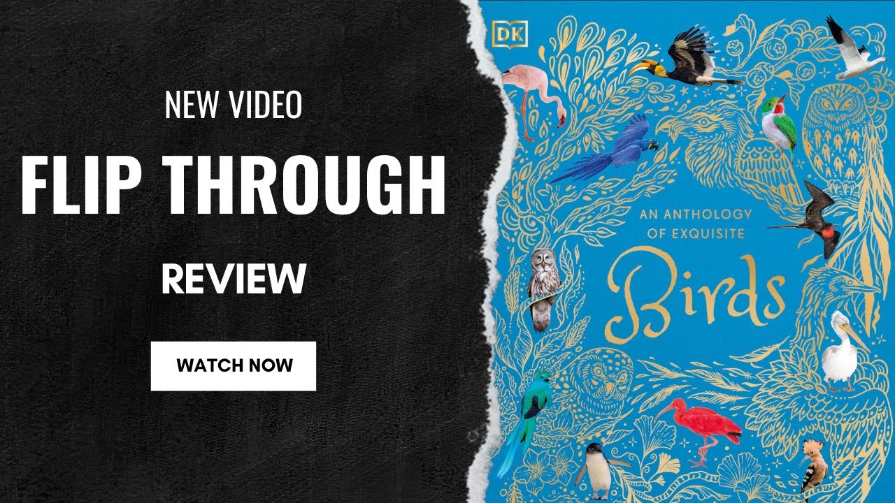 An Anthology of Exquisite Birds