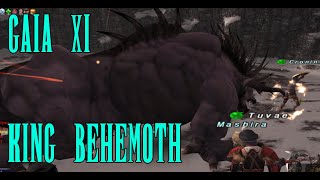 Final Fantasy XI - GaiaXI Server: King Behemoth Fight