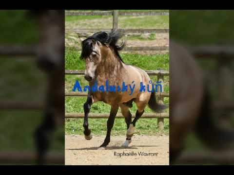 , title : 'Andaluský kůň 2'