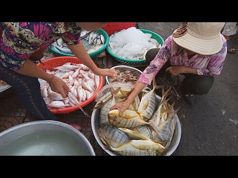 Seafood And Fresh Food Compilation - Natural Living In Phnom Penh Market - Cambodia
