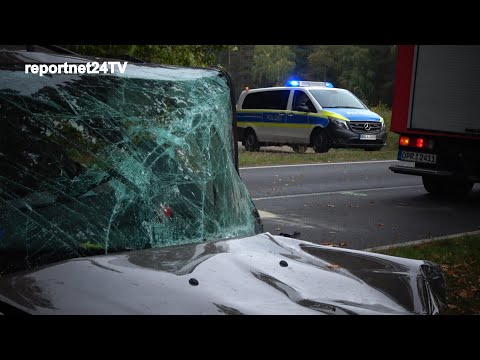 Tödlicher Unfall bei Rheinsberg - Auto mit Pflegedienstfahrzeug zusammengeprallt