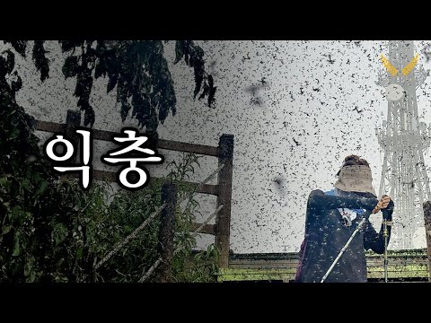 아이콘