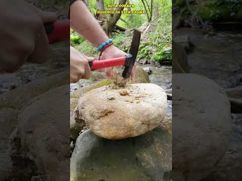 THIS IS HOW WE CAN RECOVER GOLD FROM LOOSE QUARTZ IN RIVERS!... #curiosities #gold