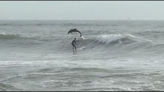 SOLOSHOT2: Surfing With Dolphins