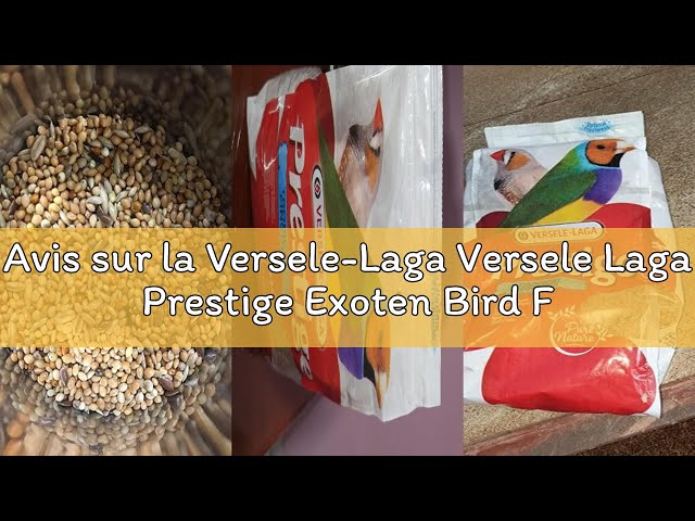 Vídeo relacionado con VERSELE LAGA Prestige EXOTEN - Comida para pájaros (1 kg)
