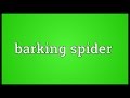 Barking Spider Meaning